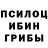 Псилоцибиновые грибы Psilocybine cubensis Anjan Anjan