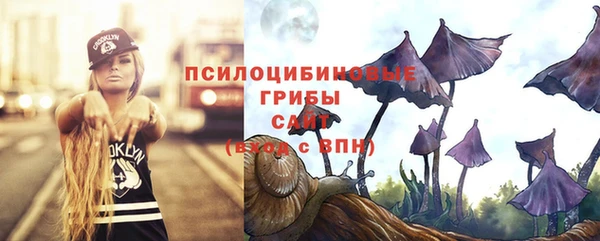 синтетический гашиш Арсеньев