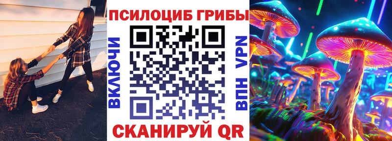 hydra вход  Тара  Псилоцибиновые грибы Psilocybine cubensis 